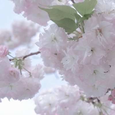 兽设节日场景设计Furry群